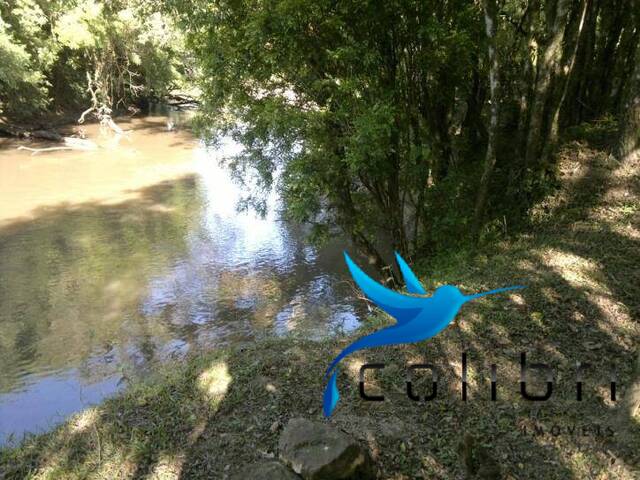 Chácara para Venda em Agudos do Sul - 3