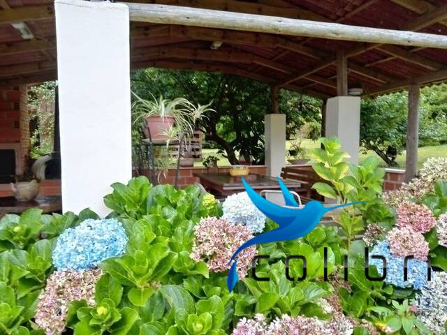 #346 - Chácara para Venda em Agudos do Sul - PR