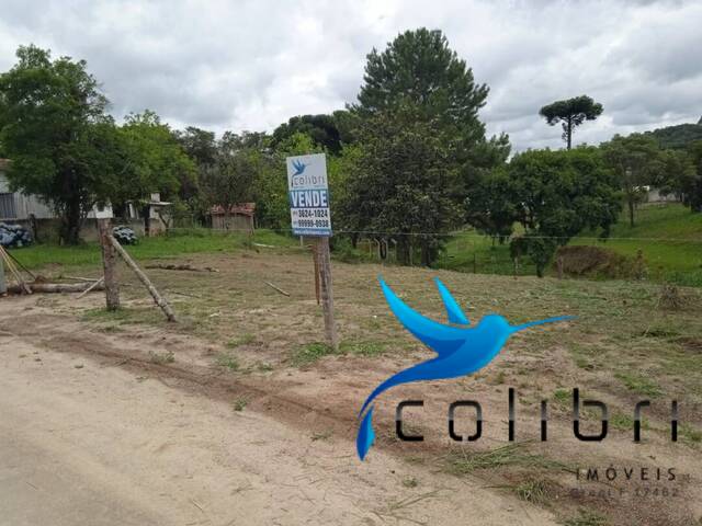 #343 - Área para Venda em Agudos do Sul - PR - 2