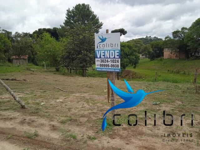 Venda em Leão - Agudos do Sul