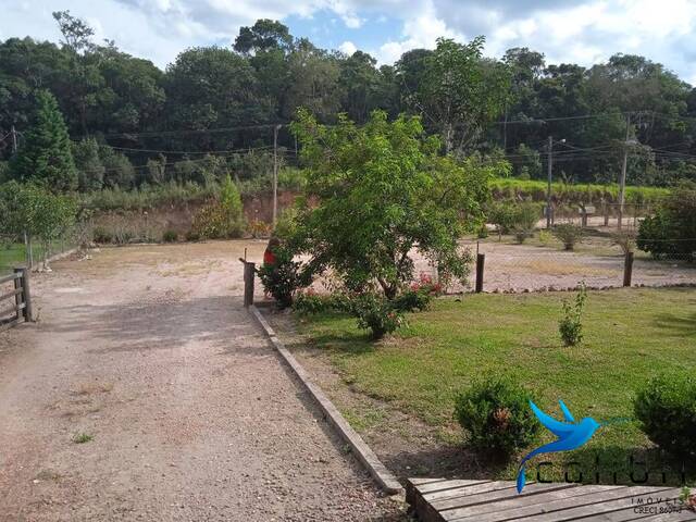 Chácara para Venda em Agudos do Sul - 5