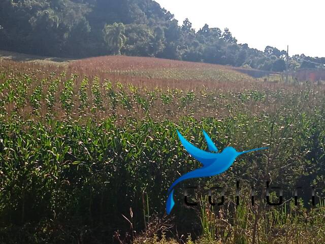 Venda em Taboão - Agudos do Sul