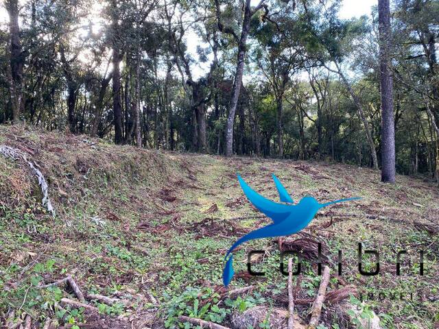 #407 - Área para Venda em Agudos do Sul - PR