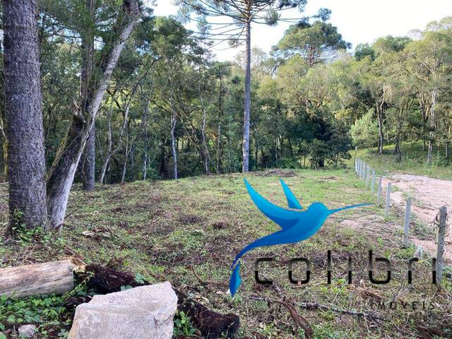 #407 - Área para Venda em Agudos do Sul - PR