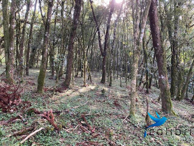 Área para Venda em Agudos do Sul - 5