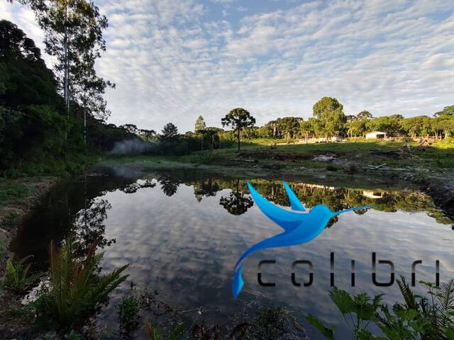 Venda em Ribeirãozinho - Agudos do Sul