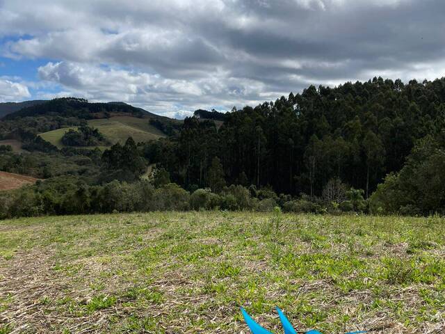#423 - Chácara para Venda em Tijucas do Sul - PR - 3