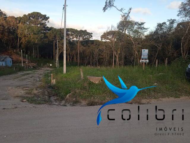 #424 - Terreno para Venda em Agudos do Sul - PR - 1