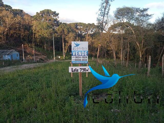 #424 - Terreno para Venda em Agudos do Sul - PR - 2