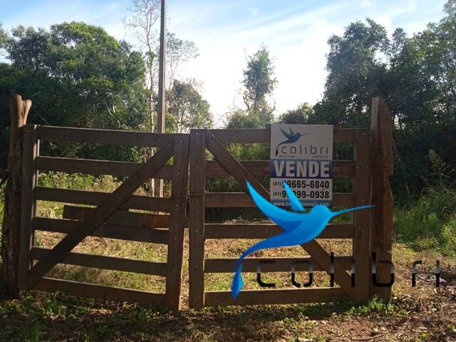#445 - Chácara para Venda em Agudos do Sul - PR - 1