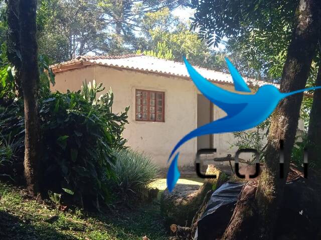 #447 - Chácara para Venda em Agudos do Sul - PR - 2