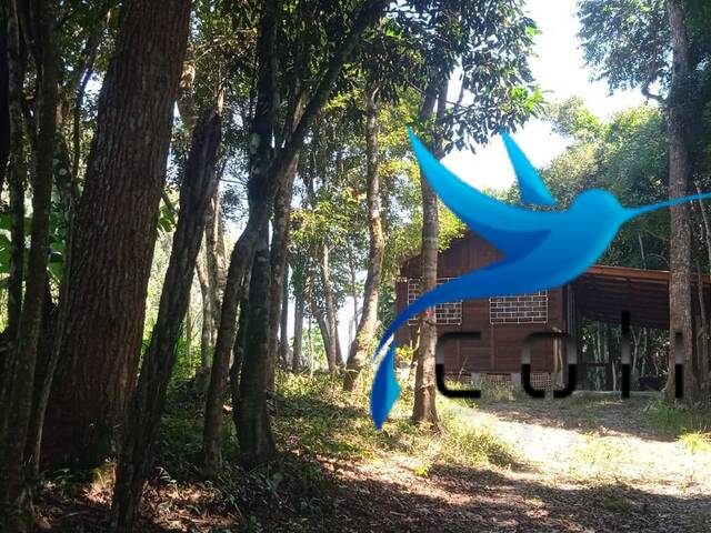 Venda em Ribeirãozinho - Agudos do Sul