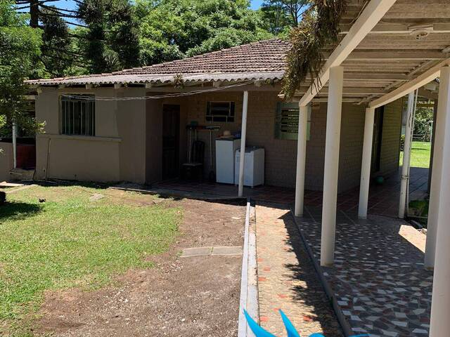 #450 - Chácara para Venda em São José dos Pinhais - PR - 3