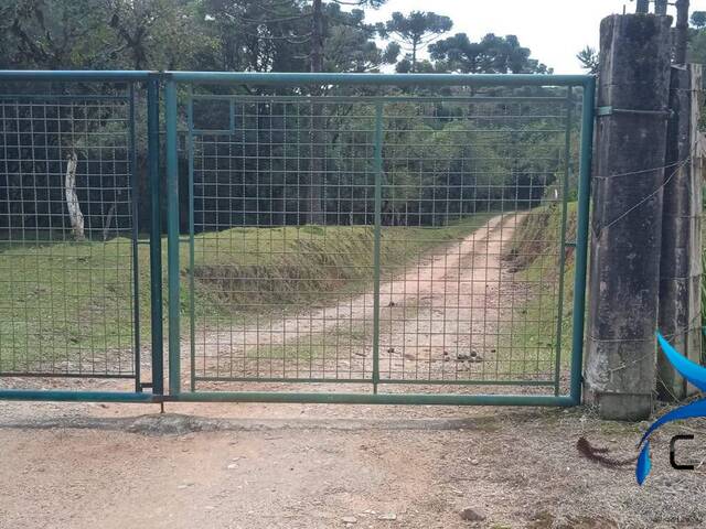 Chácara para Venda em Agudos do Sul - 5