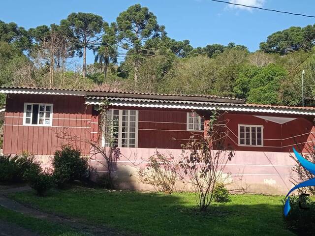 Chácara para Venda em Agudos do Sul - 5