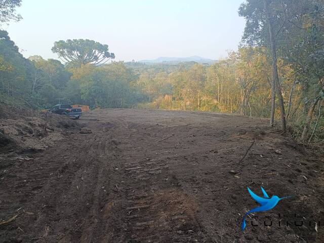 #494 - Área para Venda em Agudos do Sul - PR