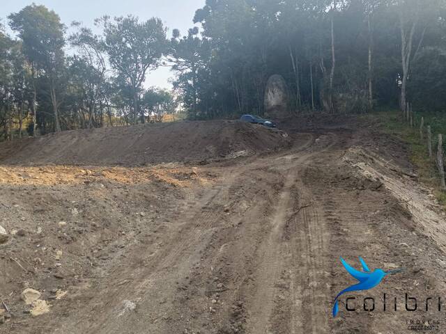 Área para Venda em Agudos do Sul - 4