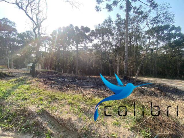 #496 - Área para Venda em Agudos do Sul - PR - 1