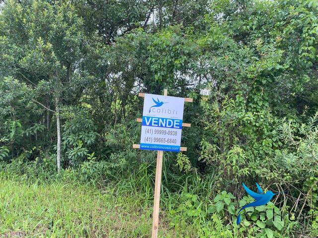 Chácara para Venda em Quitandinha - 5