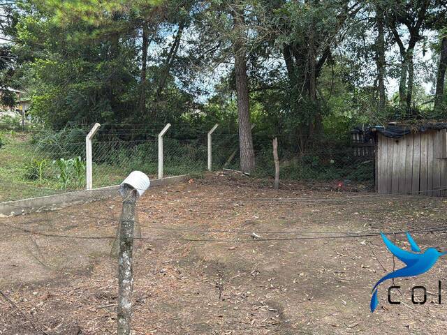 Chácara para Venda em Agudos do Sul - 5