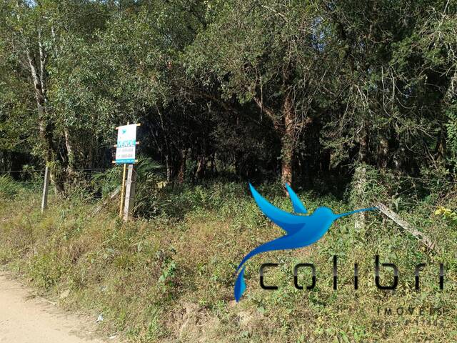 #515 - Chácara para Venda em Agudos do Sul - PR - 3