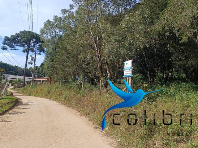 #515 - Chácara para Venda em Agudos do Sul - PR - 2