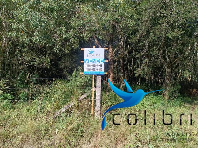 #515 - Chácara para Venda em Agudos do Sul - PR - 1