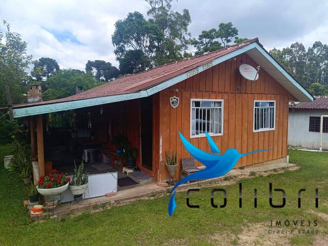#521 - Chácara para Venda em Agudos do Sul - PR - 3