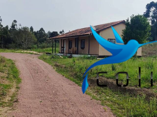 #522 - Chácara para Venda em Agudos do Sul - PR - 1