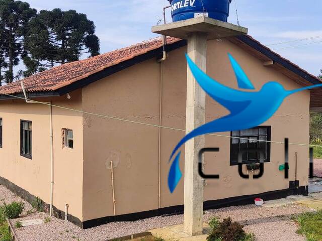 #522 - Chácara para Venda em Agudos do Sul - PR - 3