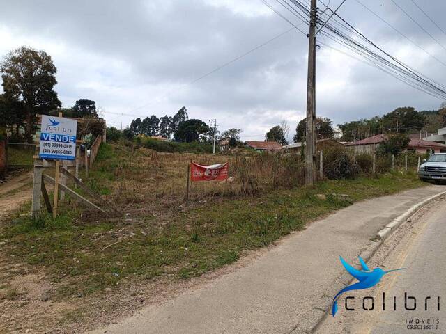 Área para Venda em Agudos do Sul - 5