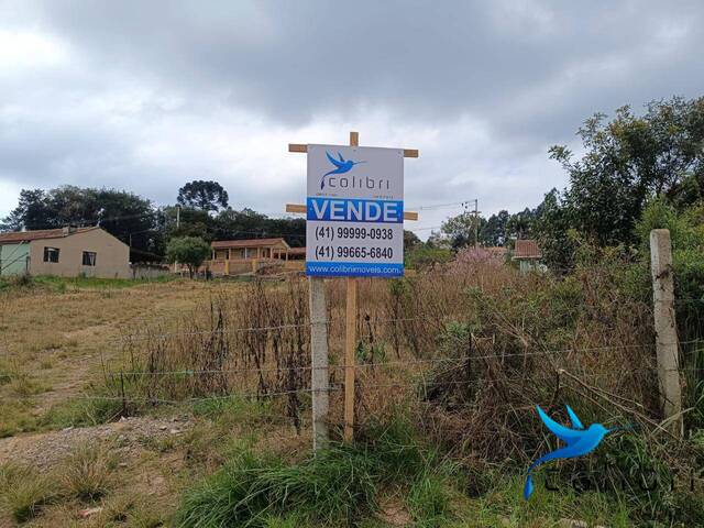 Área para Venda em Agudos do Sul - 4