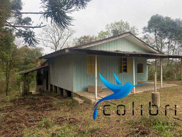 #527 - Chácara para Venda em Quitandinha - PR - 3