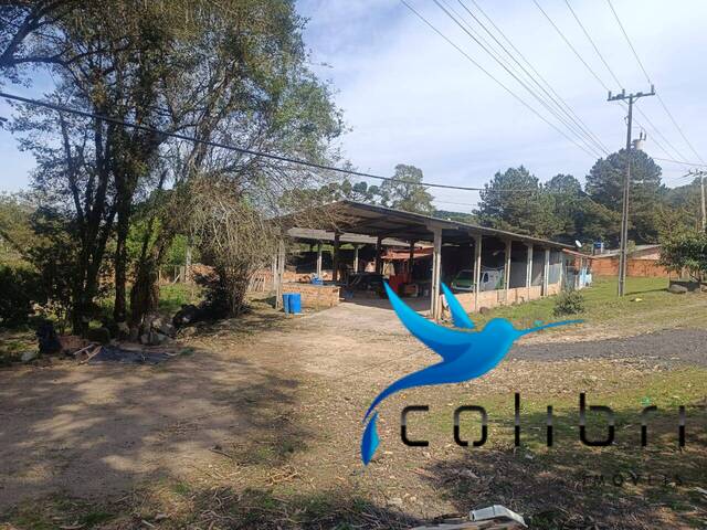 #528 - Chácara para Venda em Agudos do Sul - PR - 3