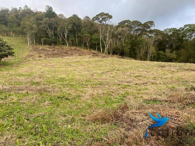 Chácara para Venda em Agudos do Sul - 4