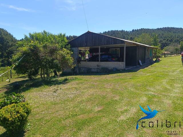 #530 - Chácara para Venda em Agudos do Sul - PR - 1