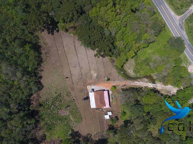 #532 - Chácara para Venda em Agudos do Sul - PR - 2