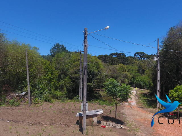 #532 - Chácara para Venda em Agudos do Sul - PR - 3