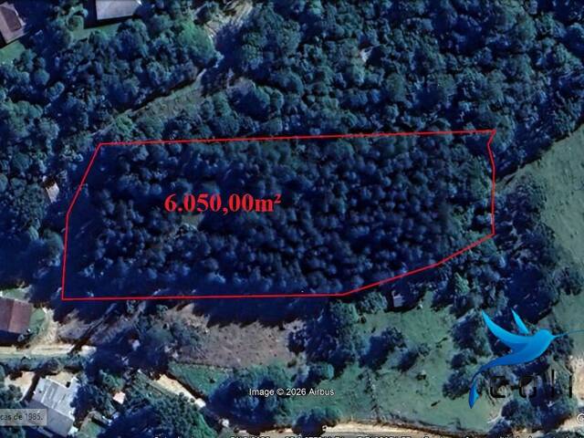 #538 - Chácara para Venda em Agudos do Sul - PR - 3