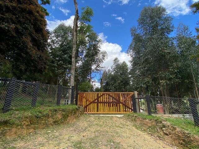 #538 - Chácara para Venda em Agudos do Sul - PR - 2