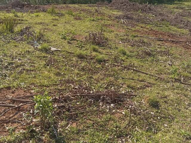 #540 - Chácara para Venda em Agudos do Sul - PR