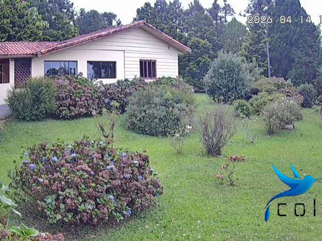 #346 - Chácara para Venda em Agudos do Sul - PR