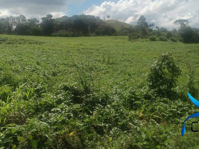 #541 - Chácara para Venda em Mandirituba - PR