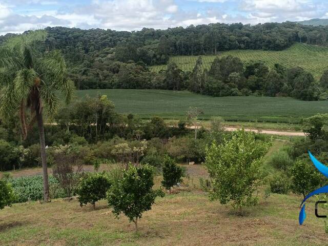 #541 - Chácara para Venda em Mandirituba - PR