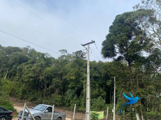 #542 - Chácara para Venda em Agudos do Sul - PR