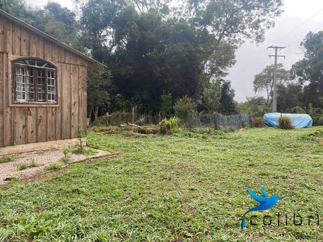 Chácara para Venda em Agudos do Sul - 5