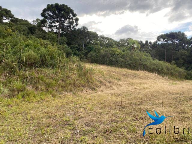 Chácara para Venda em Agudos do Sul - 3