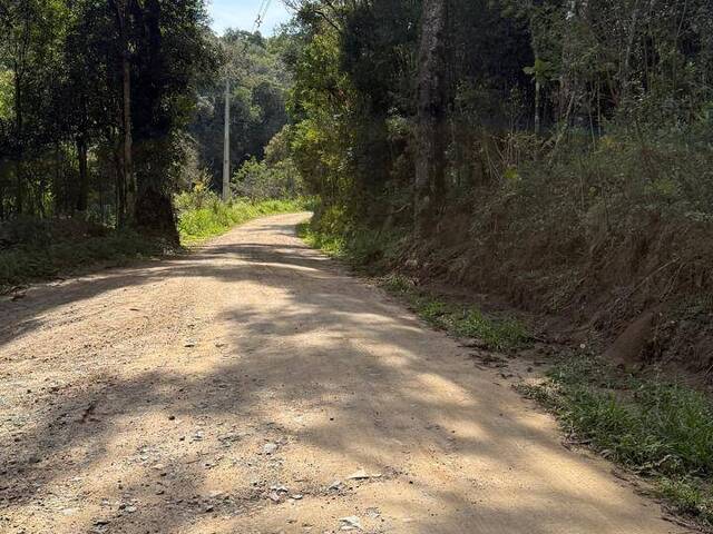 Chácara para Venda em Agudos do Sul - 4