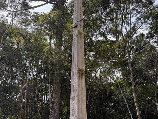 #546 - Chácara para Venda em Agudos do Sul - PR - 2