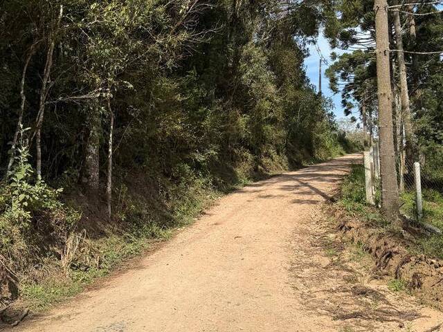 Chácara para Venda em Agudos do Sul - 5